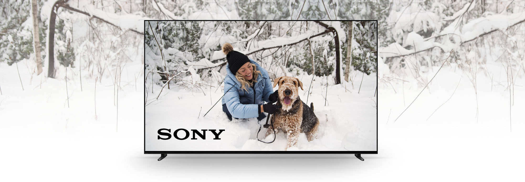 Sony | SONXPLUS Rockland